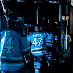 Image post by @manitobamoose on Instagram
