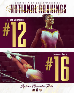Image post by @cmugymnastics on Instagram