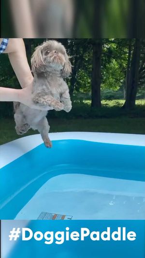 Video post by @petsmart on Instagram