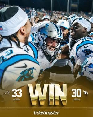 Image post by @panthers on Instagram