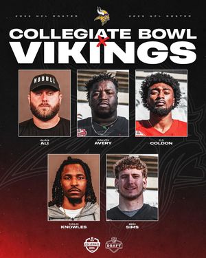 Image post by @nflpabowl on Instagram