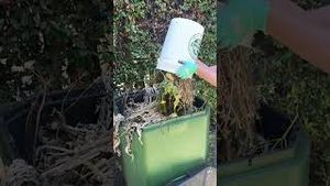 Video post by @carmeninthegarden on YouTube