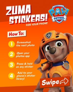 Image post by @pawpatrol on Instagram
