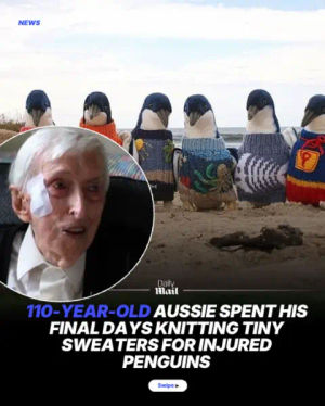 Image post by @dailymailau on TikTok