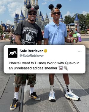 Image post by @soleretriever on Instagram