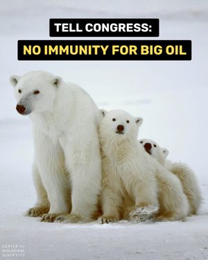 Image post by @centerforbiodiv on Instagram