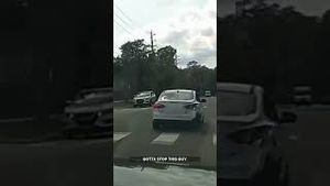 Video post by @firstcoastnews on YouTube