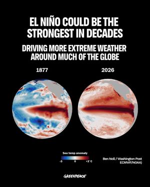 Image post by @greenpeace on Instagram