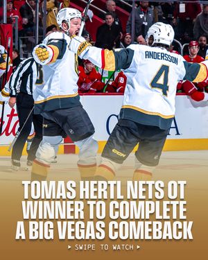 Image post by @nhl on Instagram