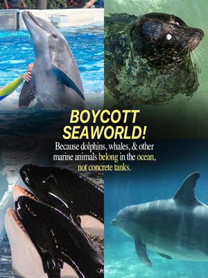 Image post by @peta on Instagram