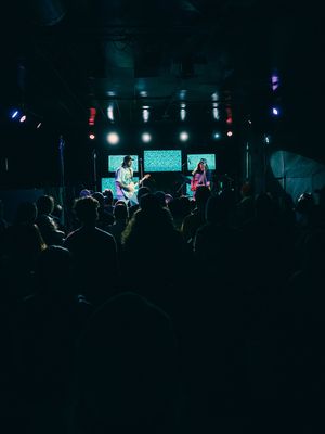 Image post by @duckclubboise on Instagram
