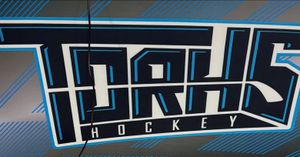 Image post by @lu_rollerhockey on Instagram