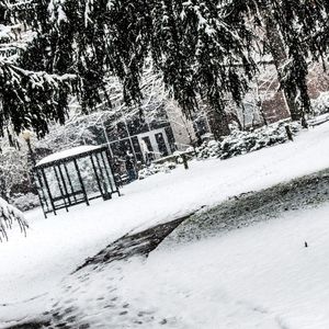 Image post by @esuniversity on Instagram