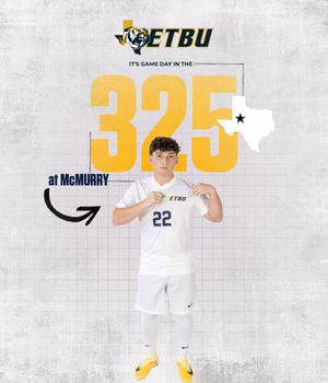 Image post by @goetbutigers on Instagram