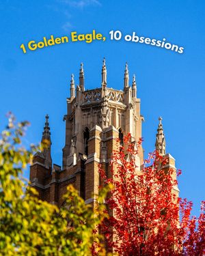 Image post by @marquetteu on Instagram