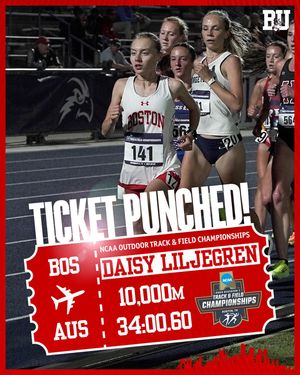 Image post by @terriertfxc on Instagram