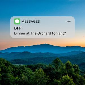 Image post by @the_orchard_cashiers on Instagram