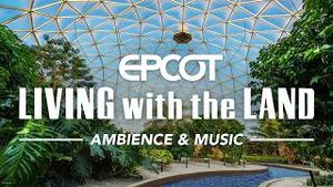 Video post by @disneyparks on YouTube