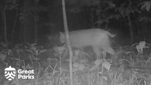 Video post by @GreatParksHC on Facebook