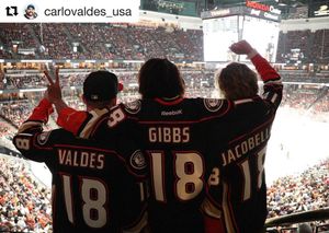 Image post by @anaheimducks on Instagram