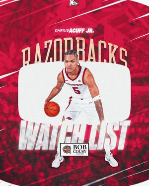 Image post by @razorbackmbb on Instagram