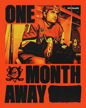 Image post by @anaheimducks on Instagram