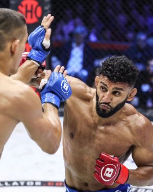 Image post by @bellatormma on Instagram
