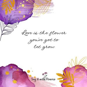 Image post by @sayitwithflowerspk on Facebook