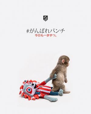 Image post by @atleticodemadrid on Instagram