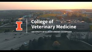 Video post by @illinoisvetmed on YouTube