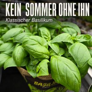 Image post by @oldenburgerwohngarten on Instagram