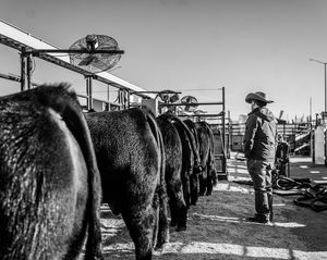 Image post by @nationalwestern on Instagram