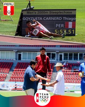 Image post by @copteamperu on Twitter/X
