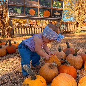 Image post by @visitoverlandpark on Instagram