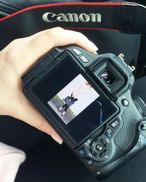 Image post by @catcatoura on Instagram
