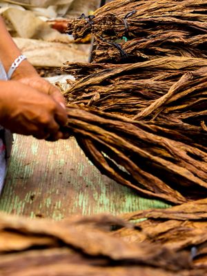 Image post by @manolo1910cigars on Instagram