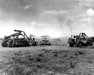 Image post by @dignityhealthaz on Instagram