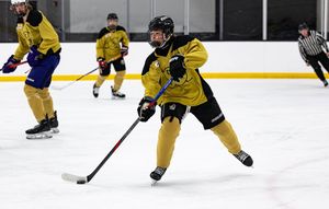 Image post by @capperhockeyservices on Instagram