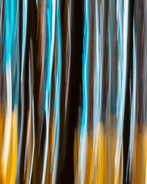 Image post by @cristan.nature.photography on Instagram