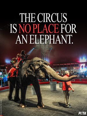 Image post by @peta on Instagram