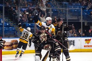 Image post by @wbspenguins on Instagram