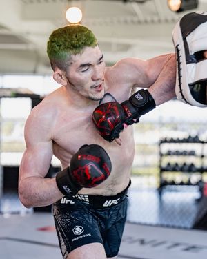 Image post by @ufc on Instagram