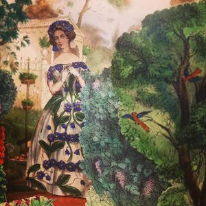 Image post by @jhuspecialcollections on Instagram