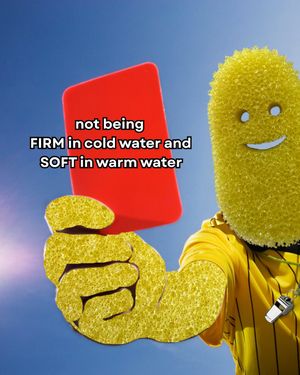 Image post by @scrubdaddy on Instagram