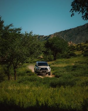 Image post by @discoverlexus on Instagram