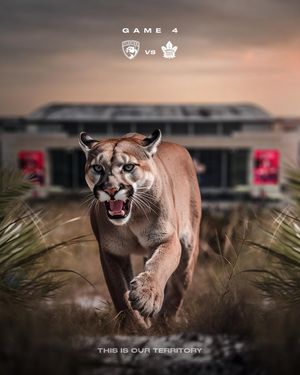 Image post by @flapanthers on Instagram