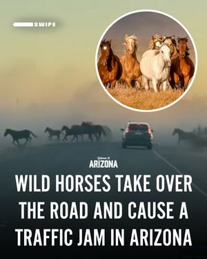 Image post by @welcometoarizona on Instagram