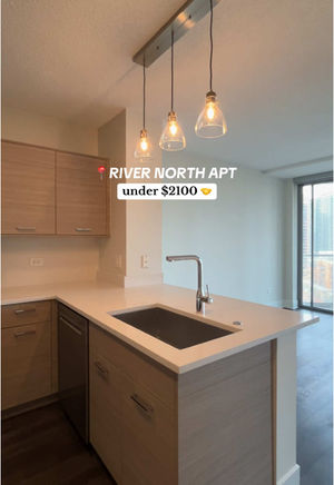 Video post by @smartcitychicago on TikTok
