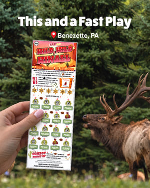 Image post by @palottery on Instagram