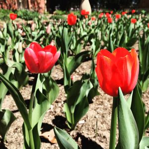 Image post by @visitomaha on Instagram